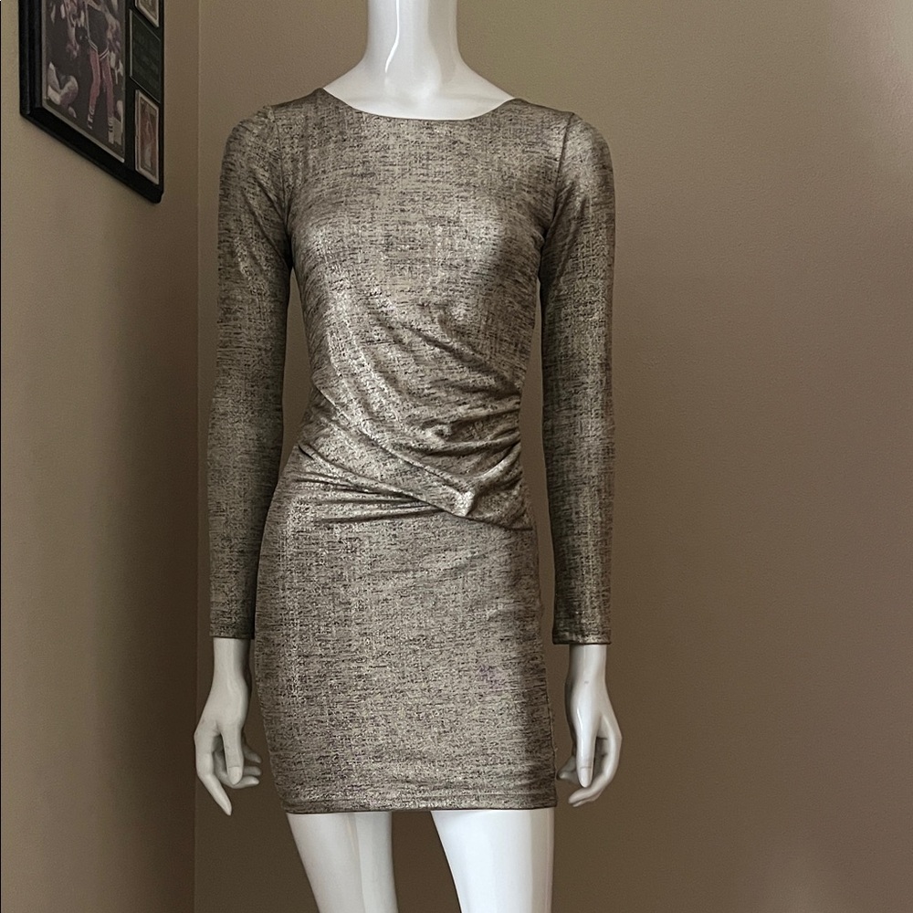 NWOT, Elegant Metallic Long Sleeve Dress , size S